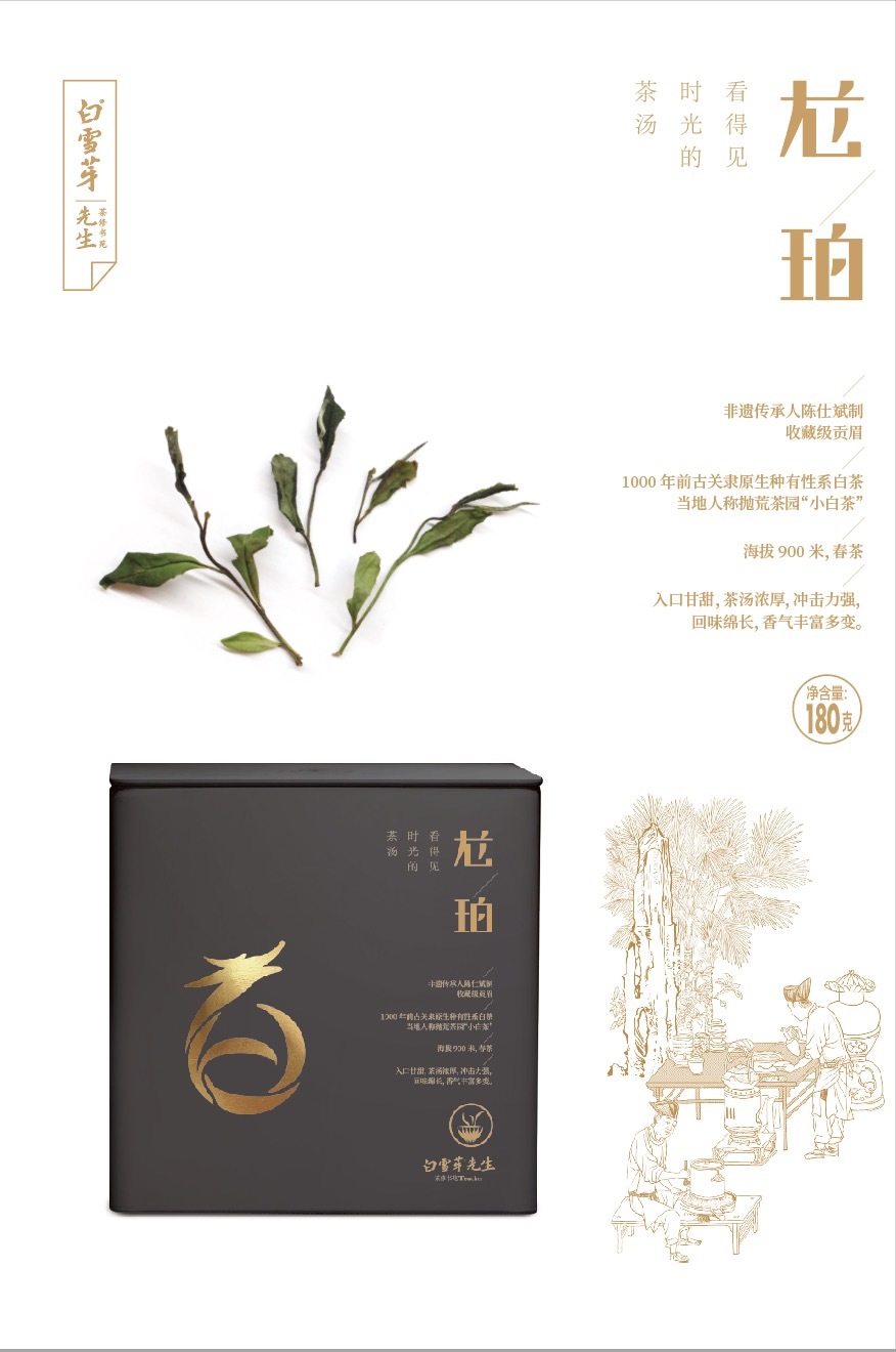 2021年贡眉--龙珀
