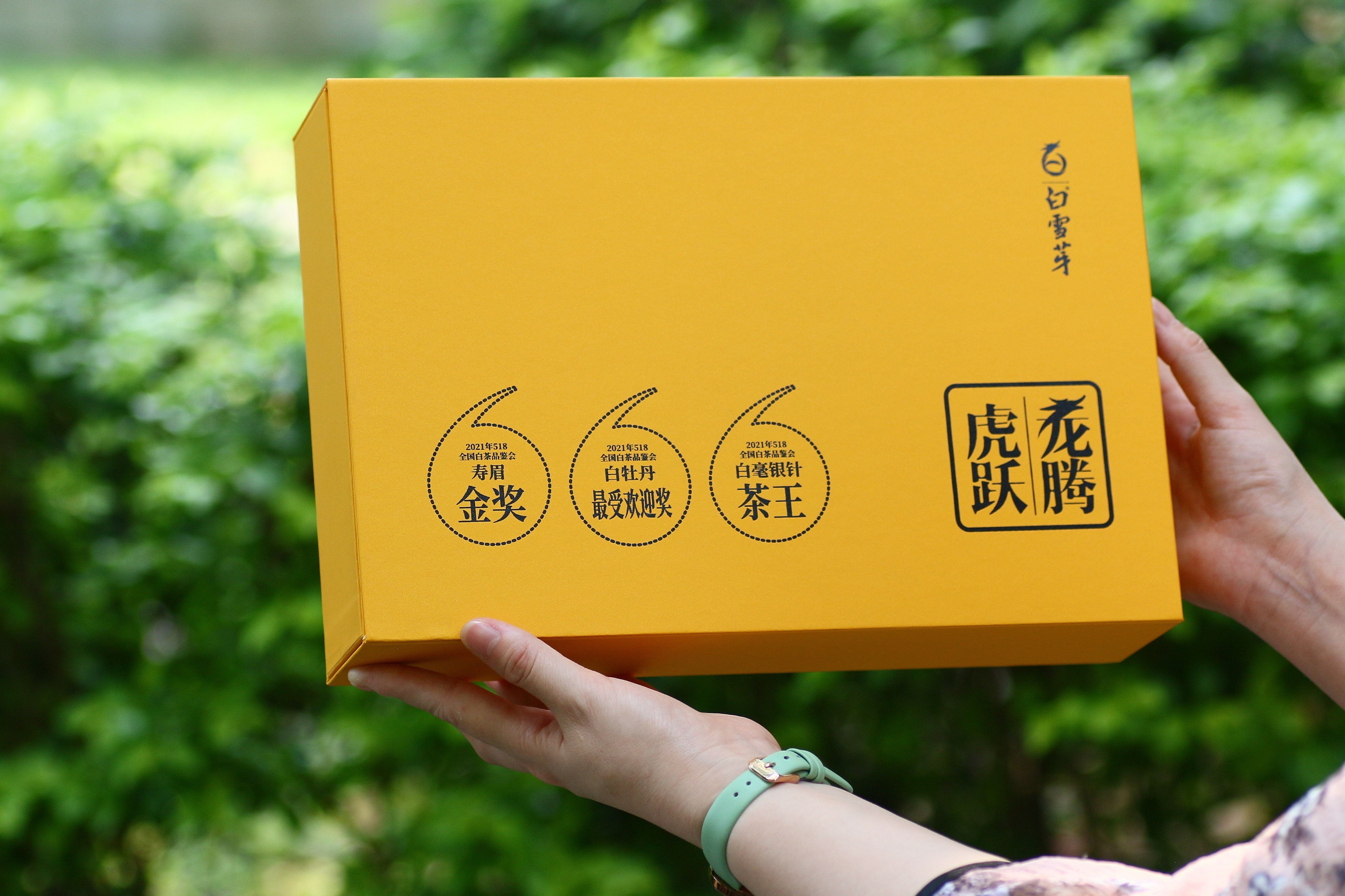 2021年（白毫银针 白牡丹 寿眉）龙腾虎跃