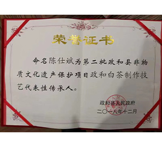 政和白茶制作技艺代表性传承人